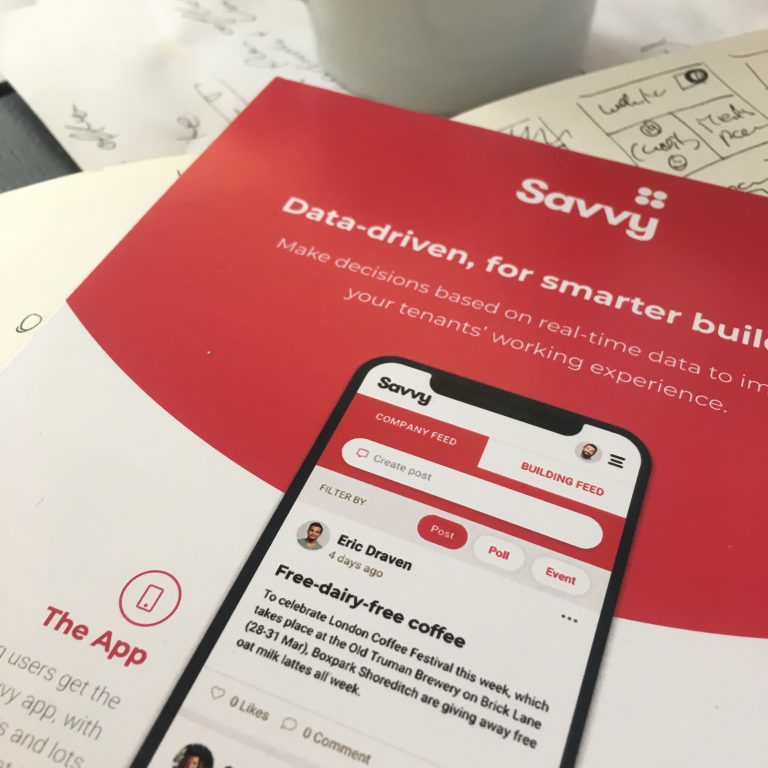 Teaser-Savvy-Brochures