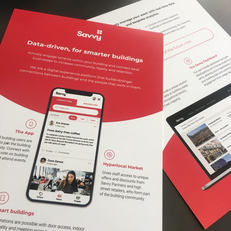 Teaser-Savvy-Brochures