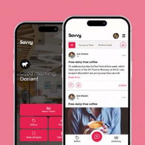 Teaser-Savvy-App